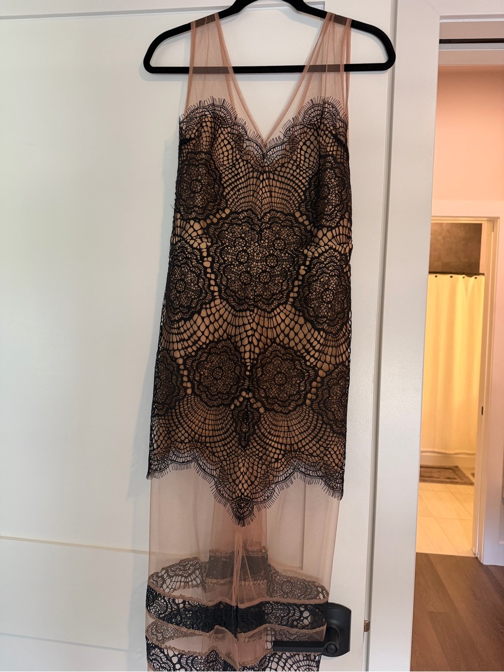 For love and lemons sheer lace dress - Picture 1 of 8